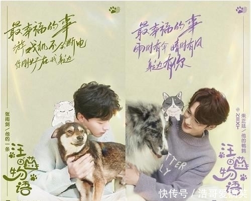 综艺|《汪喵物语》开播即火!悦己经济的时代就要来了