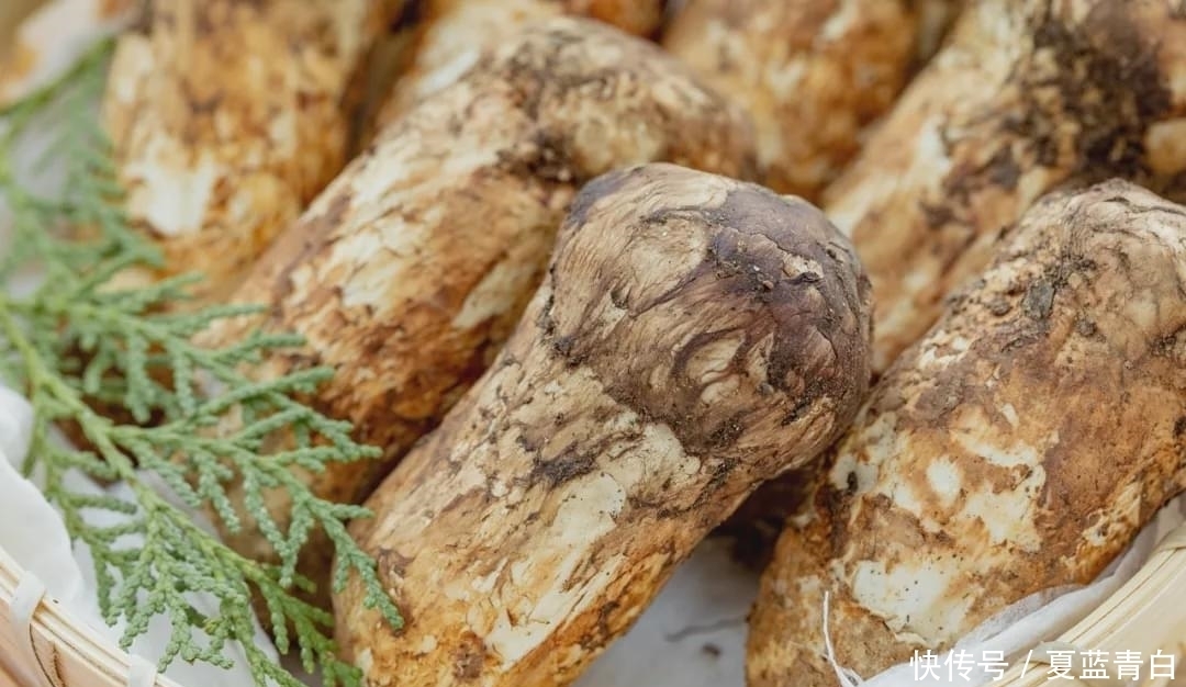 搞定|等一年就为这口鲜!电饭煲一焖搞定,香绝了!