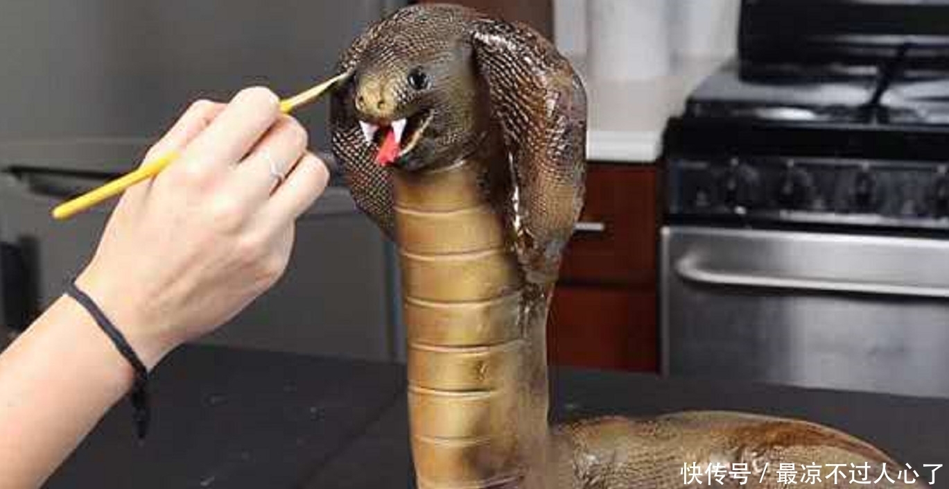 蛋糕|英国美女做的眼镜蛇蛋糕走红，模样栩栩如生，这蛋糕你敢咬一口吗