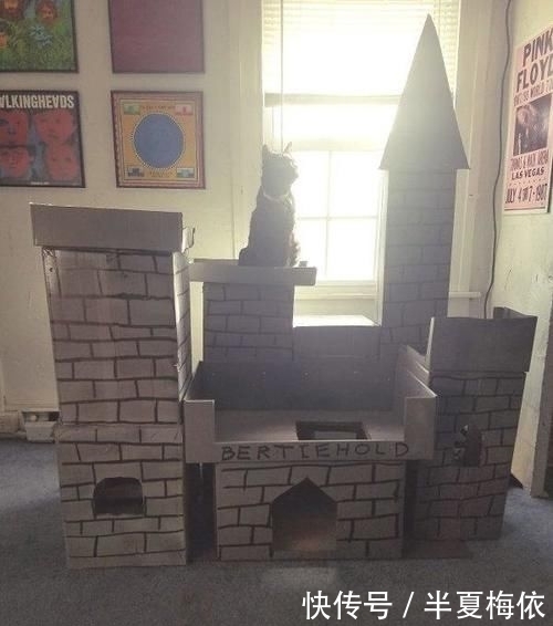 豪华|有才!外国网友用废纸箱,给喵星人打造豪华城堡