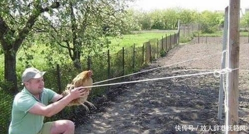 好看|搞笑图片幽默段子笑话:狗子你打扮下还是挺好看的,不错哦,哈哈