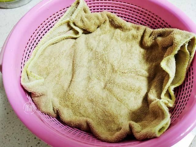 脆嫩|这个发豆芽小秘方,姥姥用了半辈子,又粗壮又脆嫩,3天就能吃