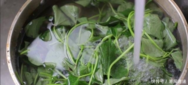 清爽|在炎热的天气里多吃这种菜。经常吃可以提高免疫力,延缓衰老,使之清爽油腻