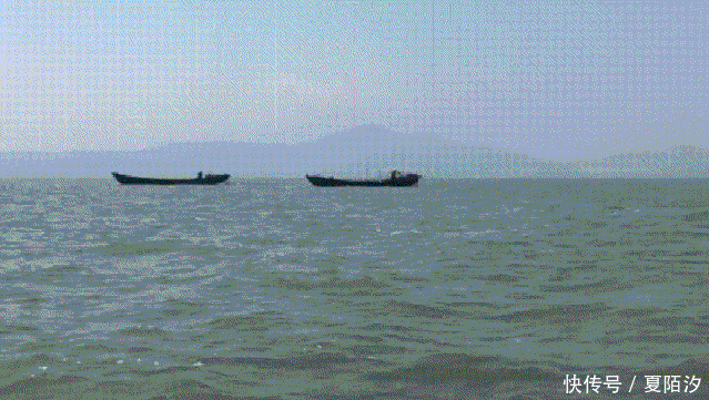 保护区|太湖捕鱼！这6个人被采取刑事强制措施！