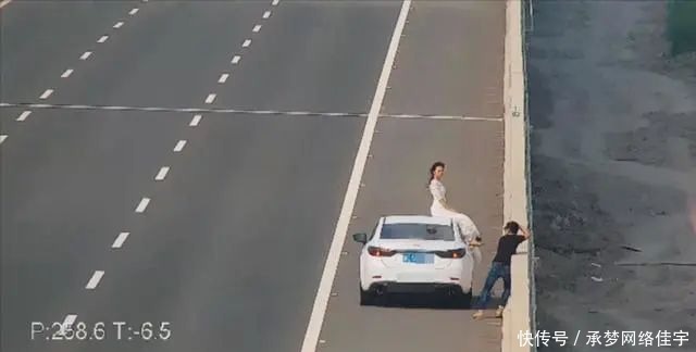 高速|不要命了！夫妻高速停车拍婚纱大片，更荒唐的是…