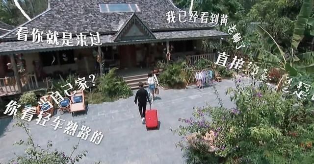 谭松韵|任嘉伦陆绎人设崩塌,谭松韵崩溃大喊“任国超”,节目组都受不了