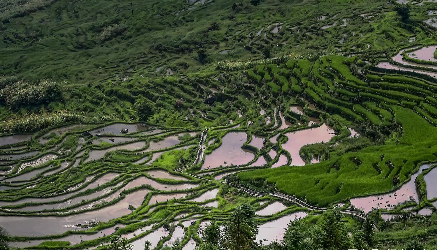 蛤蟆|养在深闺的联合梯田，蛤蟆一跳过三丘