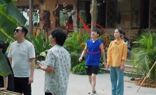 危险|彭昱畅为摘椰子危险爬树,何炅黄磊连忙劝阻,妹妹的表情太真实了