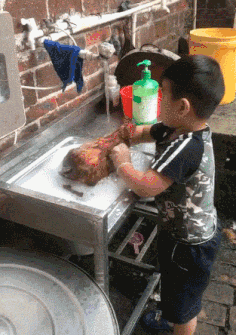 GIF|搞笑GIF:在外面抓了一只鸡,你们看是红烧好,还是清炖呢!