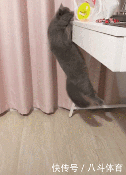  gif|搞笑gif：为了藏5元私房钱，又逼疯了一个