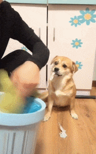 尾焰|搞笑GIF:飞机尾焰挺好看