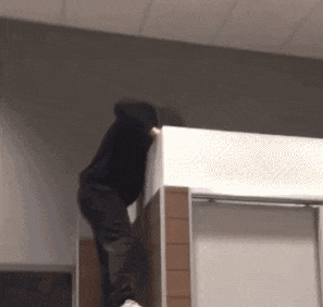 搞笑|搞笑GIF：你这么调皮你妈妈知道吗