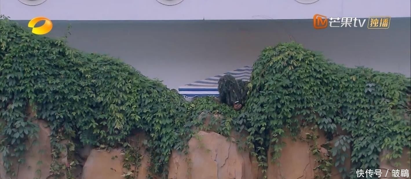  综艺|今年最好笑的综艺！胡军杨洋领着一群男人天南海北地玩捉迷藏