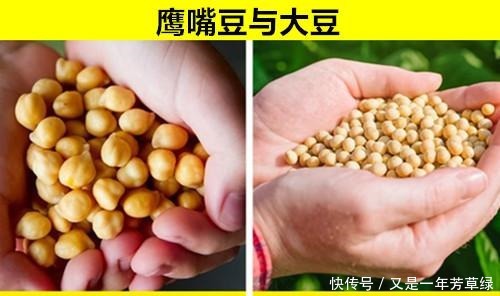 毒蘑菇|可能常常被人们混淆弄错的11对完全不同的食物