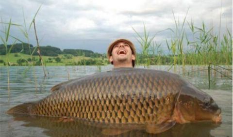 出口|美国鲤鱼出口中国却无人问津，得知价格后想赚钱想疯了吧