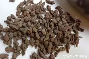 青海人参果|青海不止有美景,还有这些特产美食受大家欢迎,一定不能错过哦