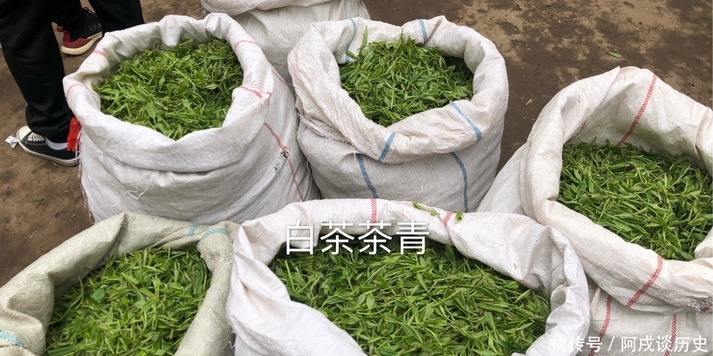  茶叶|茶叶的第一泡水脏吗？答案并不简单