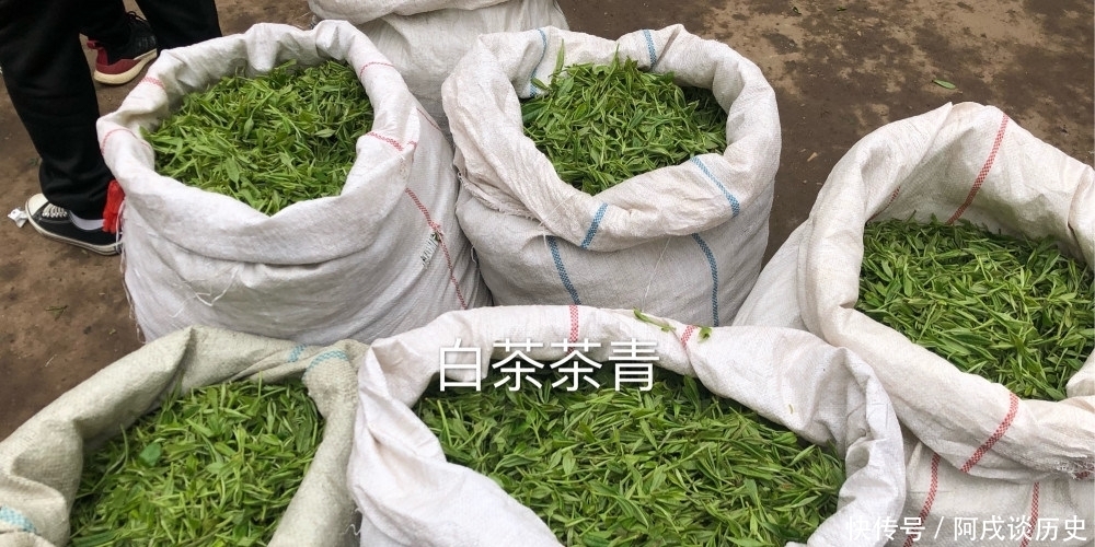 茶叶|茶叶的第一泡水脏吗?答案并不简单