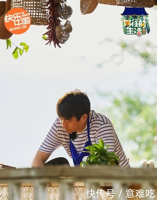 黄磊|黄晓明《向往4》立减肥flag,黄磊何炅联手“劝肉”