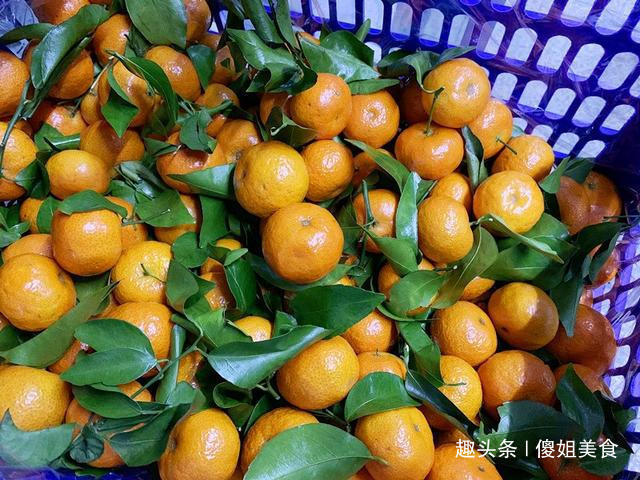 你家|你家还在吃“砂糖橘”吗现在知道还不晚,抓紧告诉身边人