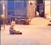 搞笑|搞笑GIF:孩子,你怎么那么懒呢?你就放心啊!