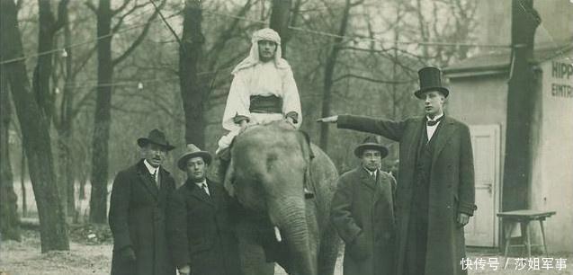 身高|两米三的德国兵被一米六的英国兵俘虏!二战最萌身高差