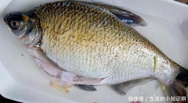 腌鱼|腌鱼时,加盐腌制是大错,教你正确做法,鱼肉质鲜嫩,没一点腥味