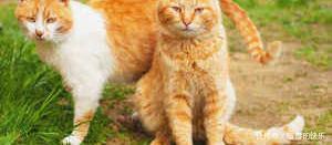 妹子|开心一刻:小姨子骂我媳妇:你老公就是个废物!