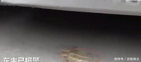  车门|车门未锁, 花季少女钻入车内做“不知羞”的事情, 车主气疯: 真不要脸!