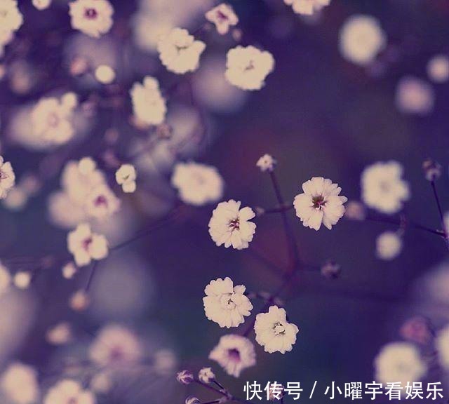 则你将一无|朋友圈心灵鸡汤语录,耐人寻味