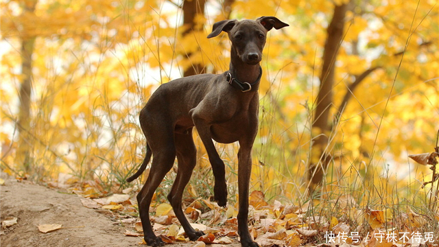 奇怪|22个冷知识:真实存在着,但只有少数人知晓的奇怪知识
