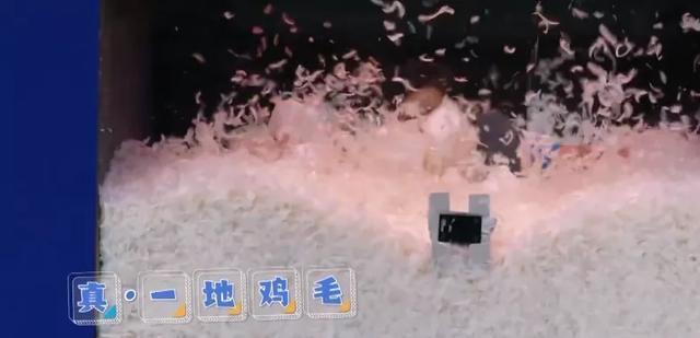 全员|《奔跑吧》彻底凉了,全员玩游戏放不开,状态掉线被吐槽赶着下班