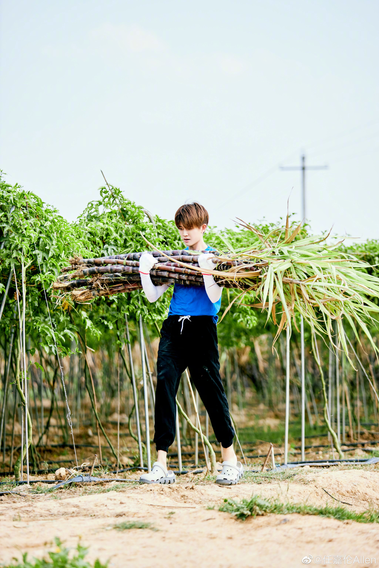 信心|何炅帮忙cue《锦衣之下》,任嘉伦有话要说