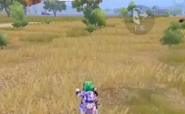  操作|和平精英竟能实现空中换装？直播大佬在线教学，哪成想翻车了