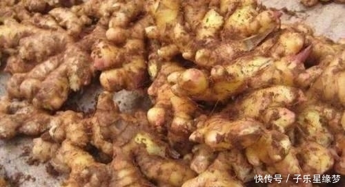 市场|农村一种野草以前不被重视，现在发现可以解毒消肿，市场一斤8元