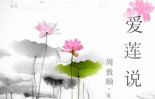  清涟|“濯清涟而不妖”与“出淤泥而不染”哪个更难做到？