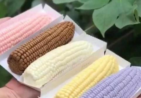 到手|网红巧克力“玉米”,到手后才知被坑,网友这才是买家秀吧