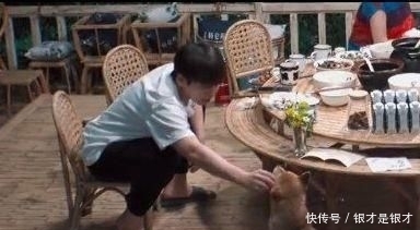  何炅|网曝黄磊透露《向往的生活》要结束？延续4季热度不断，太可惜