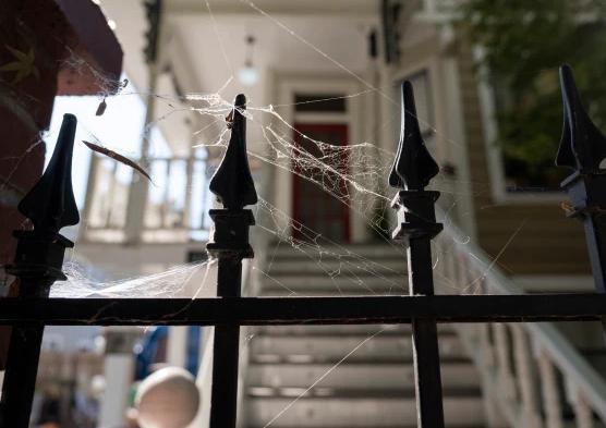 改造|真人秀盯上凶宅大改造!清洗陈年血迹,撬开躺过死尸的地板…