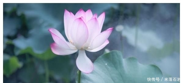 看起来|这几个星座的人,看起来很普通,却越看越好看