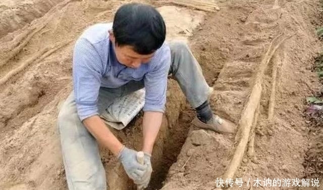 山药|买山药时,别管它多粗多长,教你四个小技巧,挑选出一根好的山药