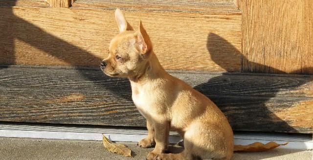  句句|最值得收藏的经典语录，句句深入人心，说出了你的心声