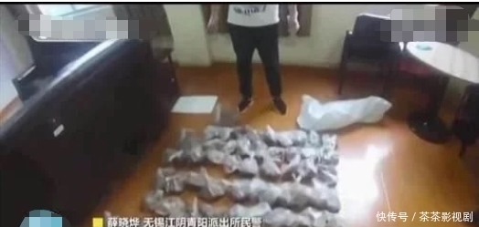  沈某|男子使用万元“神器”专业打鸟！3个月干掉1000余只斑鸠！