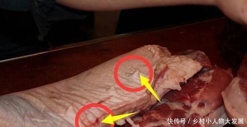 猪肉一起|买猪肉都不想买母猪，怎么避免挑到母猪肉，有几个关键点