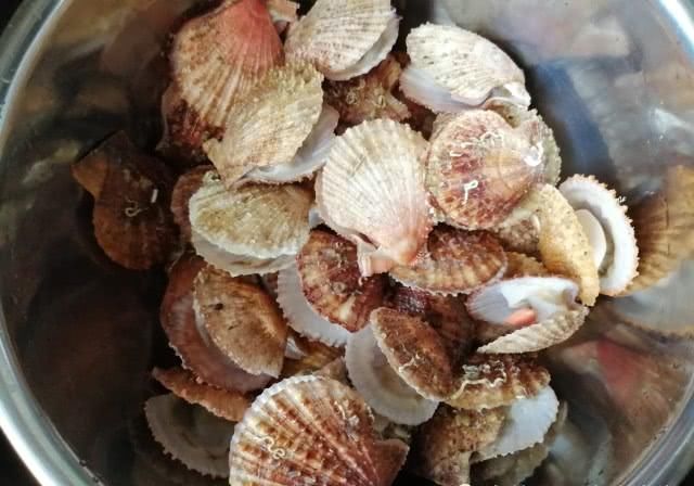  做法|蒜末粉丝蒸扇贝的生活中做法，多了这2步比餐馆做的更香，一盆不足