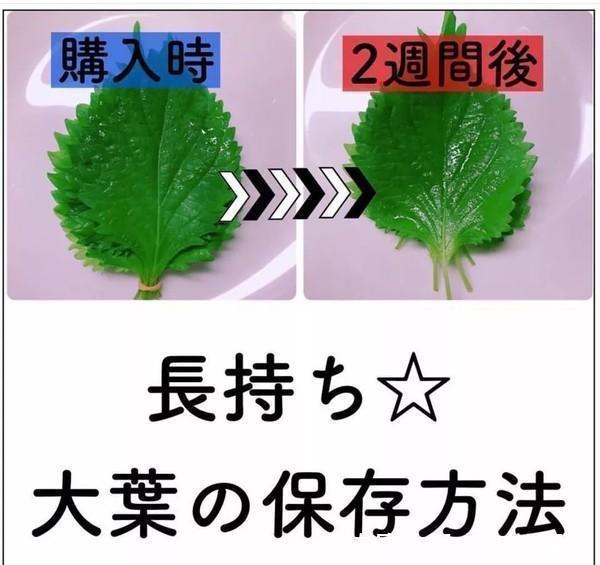 方式|生活方式│岛国中产一家5口天天吃大餐，一个月只花2000人民币