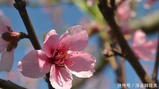  星座|在8月上旬，真爱降临，坚定内心，不再放手的三大星座