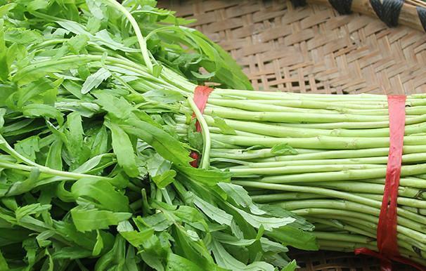 特别|北方人很多都不认识,在南方却特别流行的蔬菜,你们吃过几种