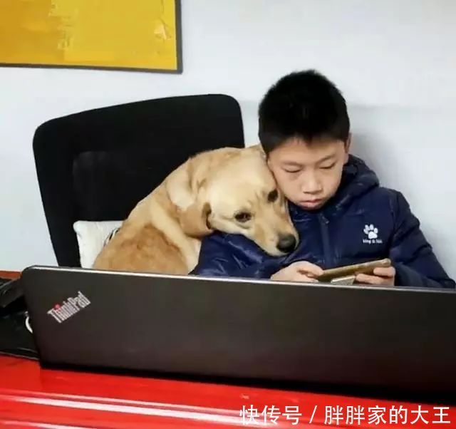  打开|狗狗突然没了动静，打开儿子房间看到这一幕笑喷了，狗头军师吗