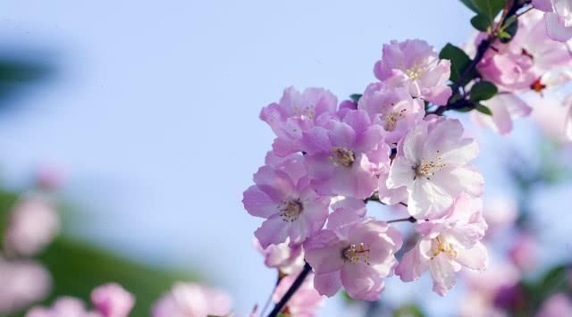 喜从天降|5号到18号开始,运势如虹,富贵临门,喜从天降的4生肖